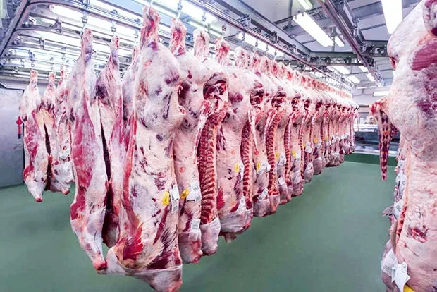União Europeia veta carne brasileira? Entenda o que realmente mudou e quais podem ser os impactos