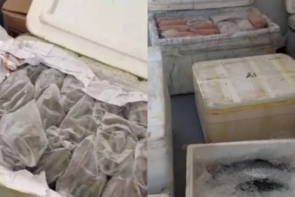 PRF apreende mais de 600 kg de alimentos transportados de forma irregular no Piauí