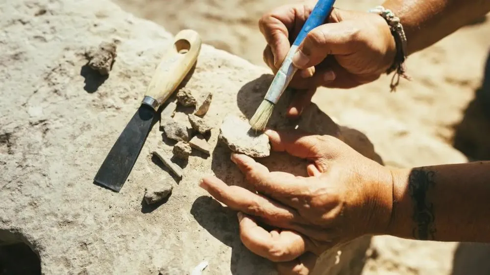 Sexo ajudou a acelerar a evolução da vida na Terra, aponta estudo