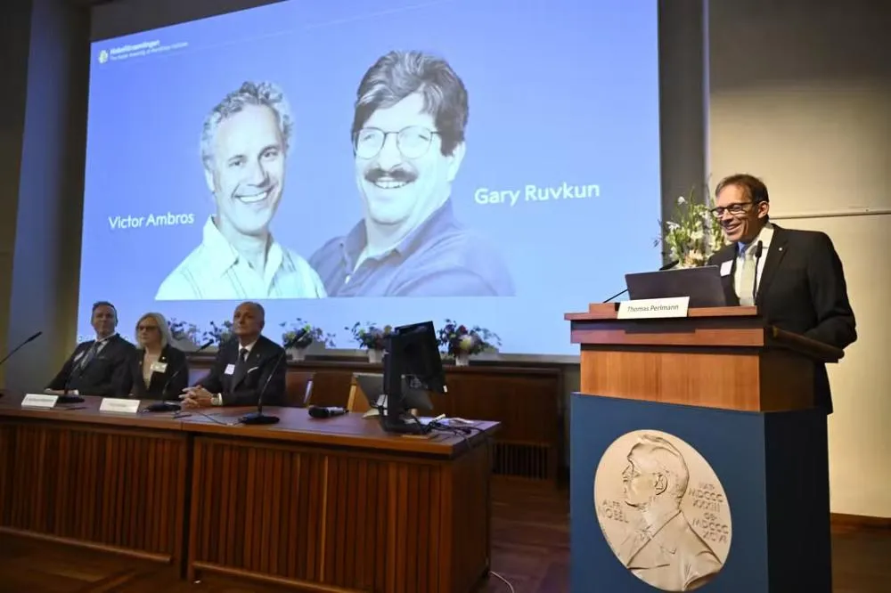 Descoberta sobre microRNAs garante Nobel de medicina a dois pesquisadores dos EUA