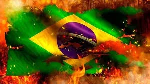 Destruição em chamas: A floresta amazônica, o pantanal e a biodiversidade brasileira no fogo do abandono