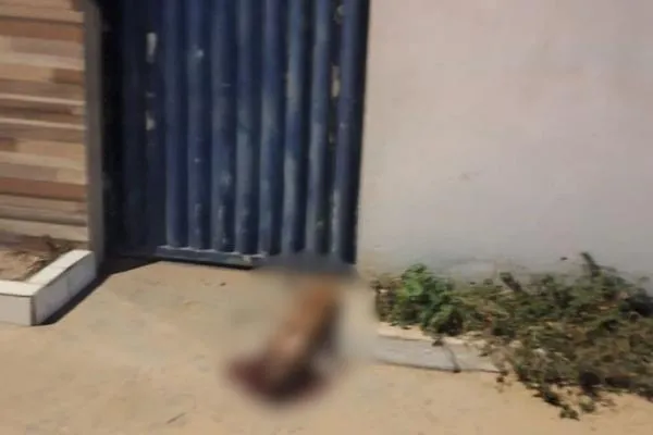 Criminosos atiram contra casa, ferem duas pessoas e matam cachorro em Teresina