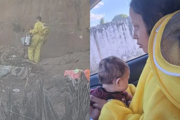 Mãe e bebê são resgatados após enxame de abelhas invadir residência em Oeiras