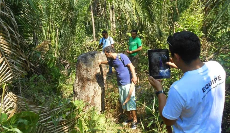 Árvore fossilizada em posição de vida. Uma raridade só encontrada na Floresta Fóssil de Teresina e em Glasgow, na Escócia - Foto: Reprodução