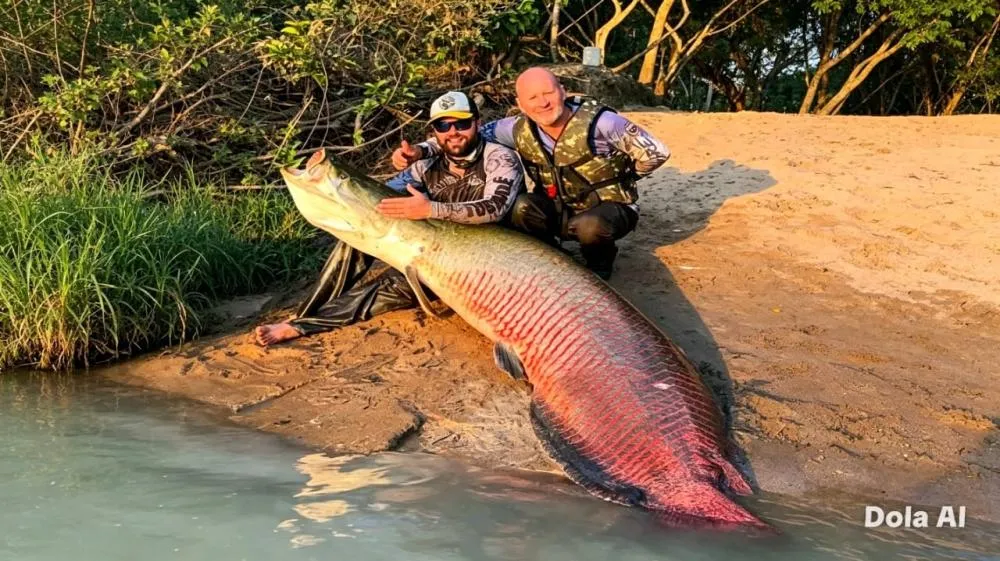 O orgulho dos pescadores estava visível, afinal não é todo dia que se pesca uma preciosidade dessa - Foto: Reprodução