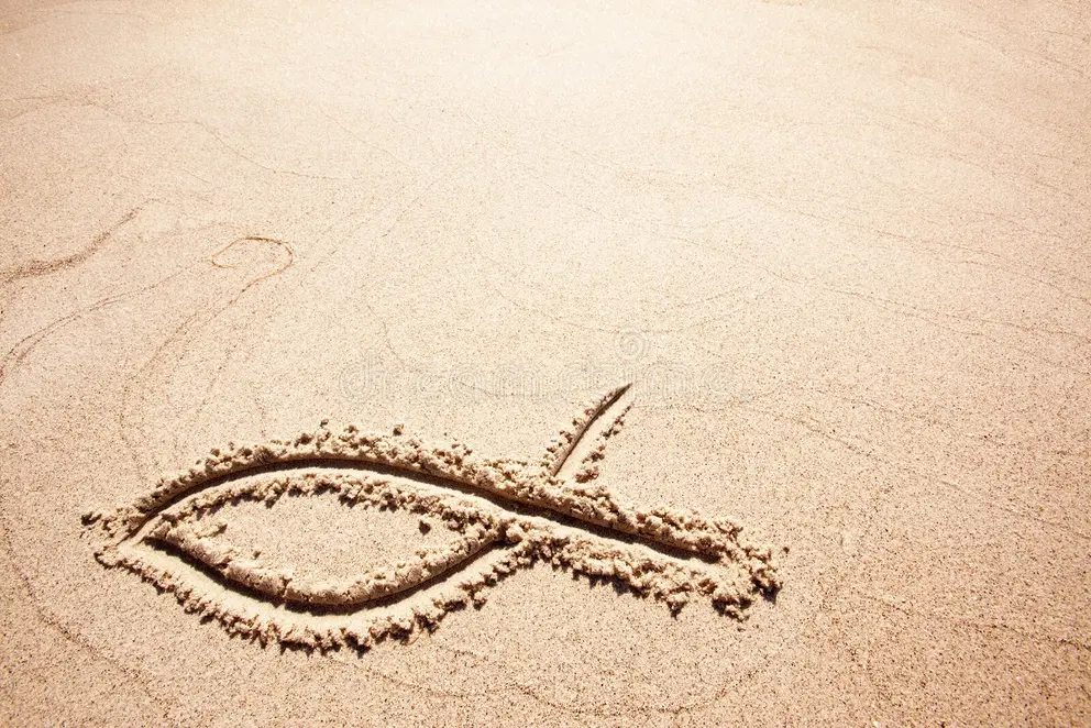 Foto: https://pt.dreamstime.com/
