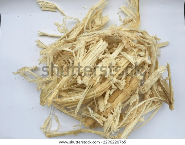 Foto: https://www.shutterstock.com