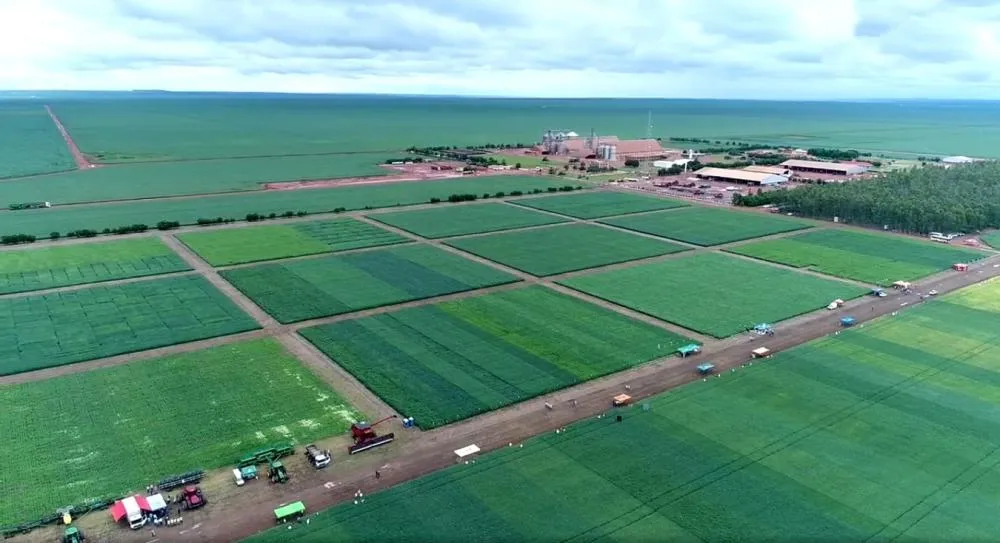 Uruçuí e Baixa Grande do Ribeiro lidera o Piauí no agronegócio e entra para ranking dos 100 maiores do Brasil