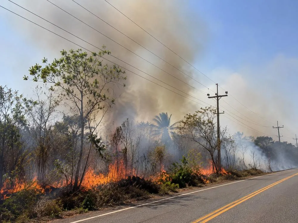 Queimadas entram no debate eleitoral e expõem desafio ambiental histórico do Piauí