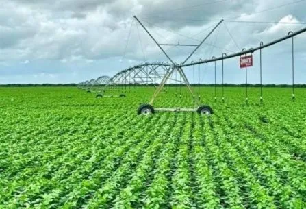 Agro piauiense avança apesar dos obstáculos e empurra exportações para R$ 5,5 bilhões