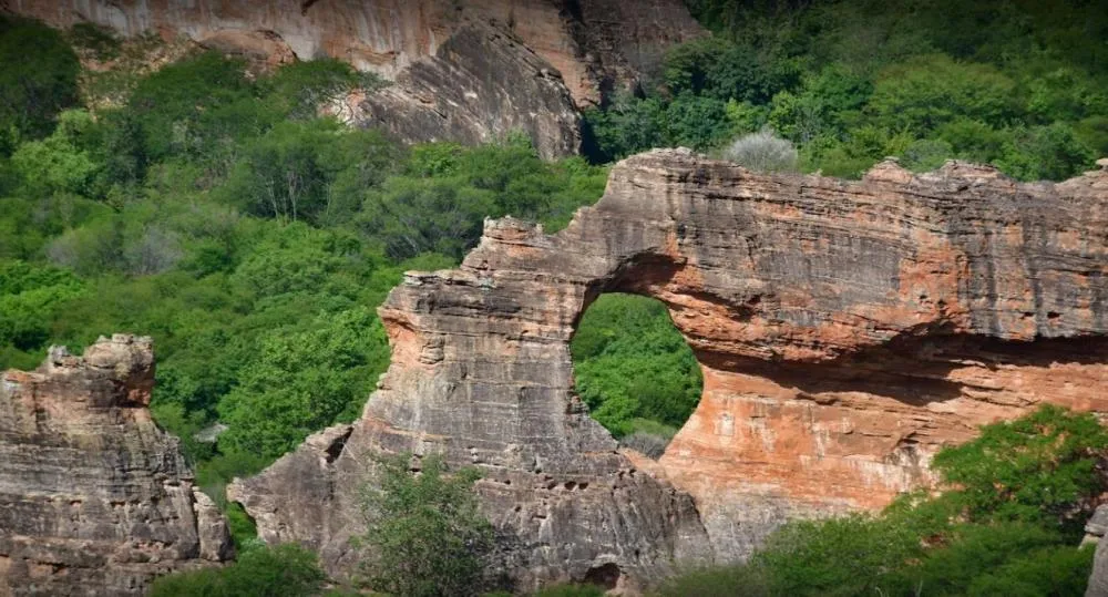 Dia do Piauí: história, cultura e riquezas que fazem do estado um território de identidade e resistência