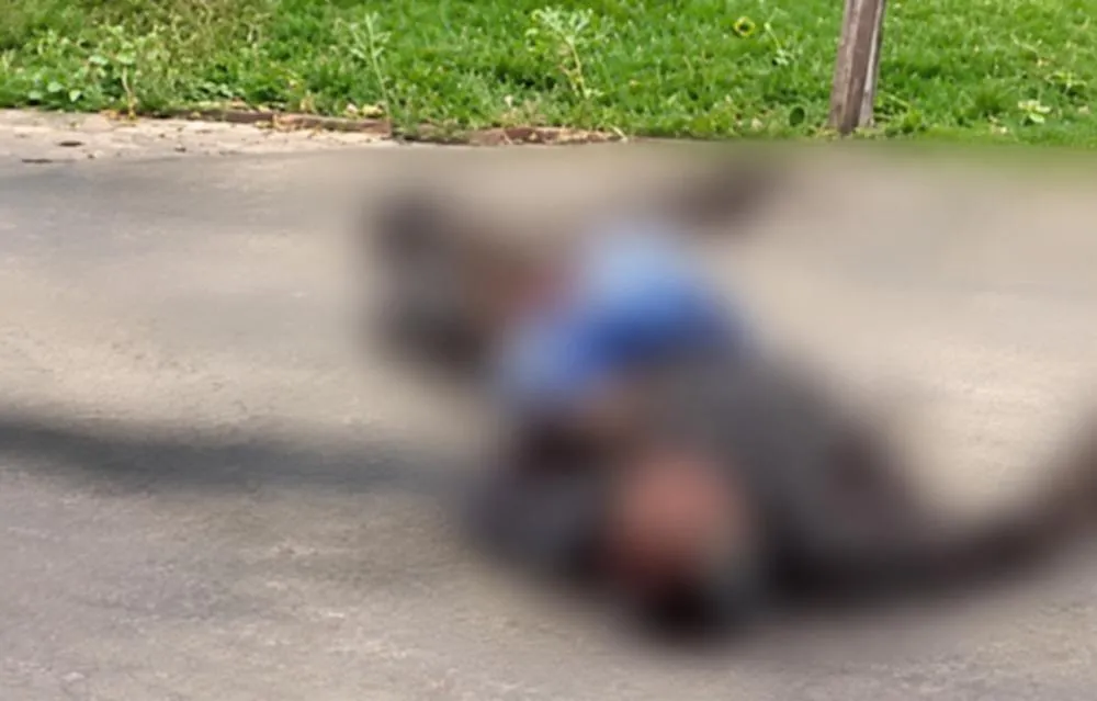 O adolescente pôs o homem para dormir no asfalto com um cruzado de direita - Foto: Reprodução