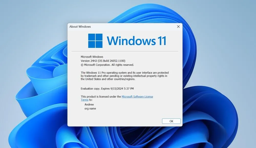Windows 11 avança no mercado, mas enfrenta resistência do Windows 10