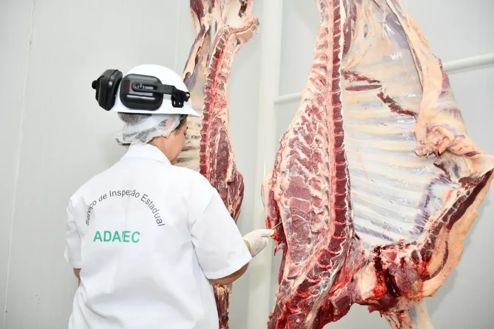 Governo planeja descentralizar inspeção em frigoríficos e gera temor em auditores
