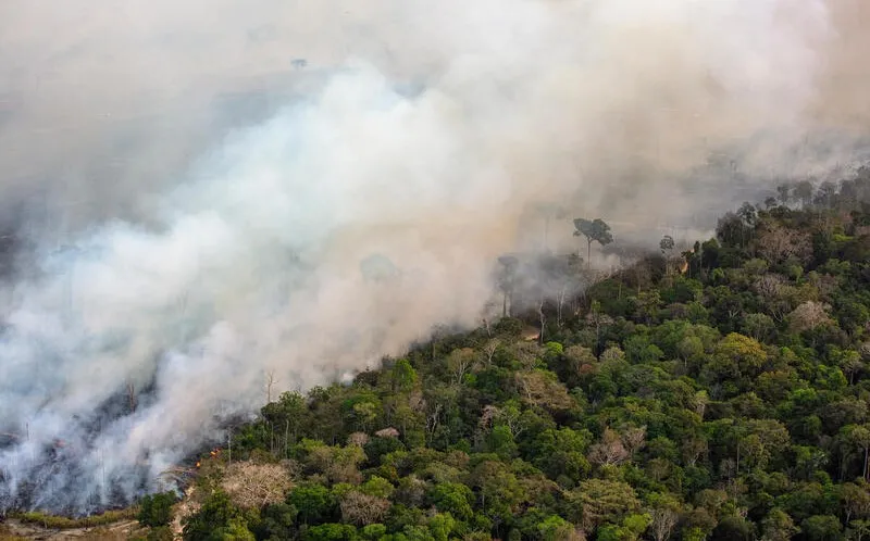 Amazônia em risco: maior nível de degradação em 15 anos