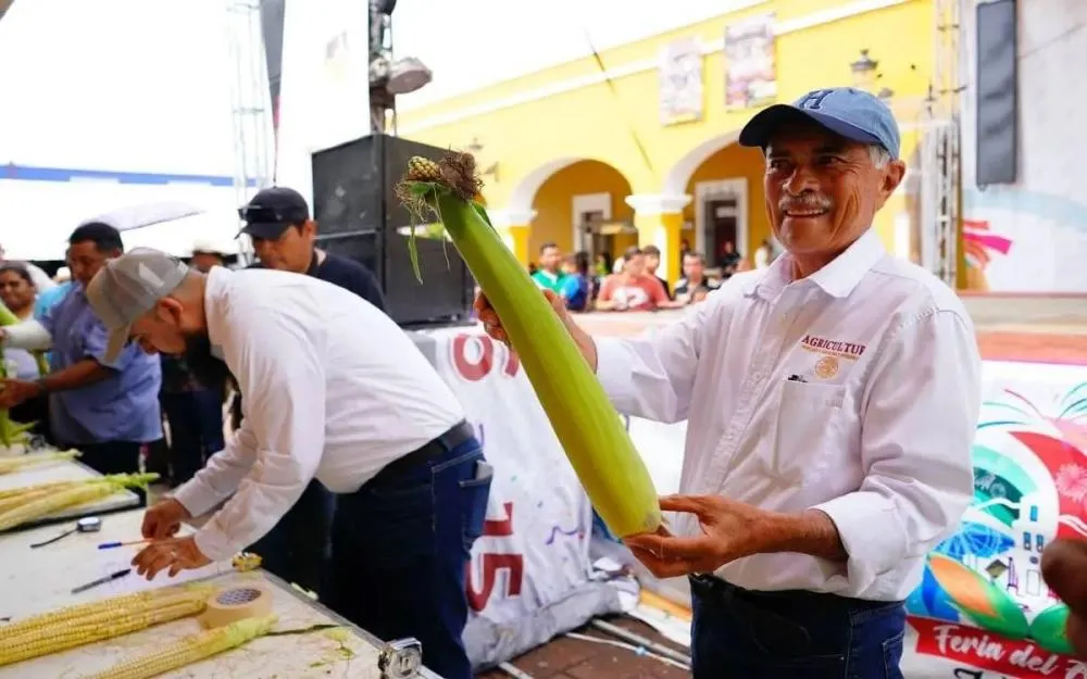Milho gigante de Jala: o segredo do vulcão que transforma um sonho agrícola em realidade