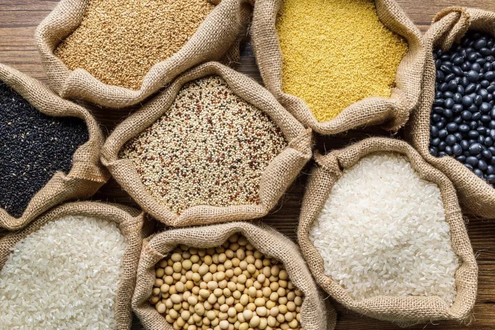 Maranhão recria taxa sobre grãos e produtores ameaçam judicializar cobrança