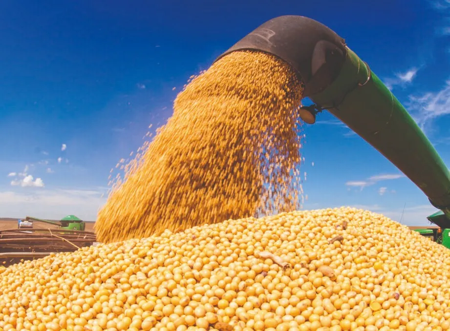 Produção de grãos no Piauí deve alcançar 6,5 milhões de toneladas na safra 2024/25