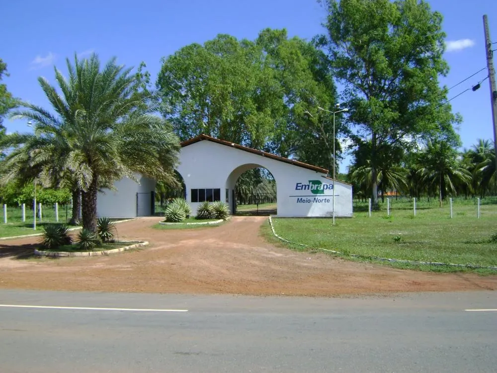 Embrapa abre inscrições para concurso público com mais de mil vagas