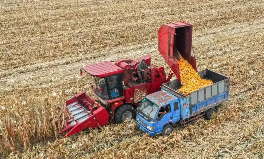 China aposta na modernização agrícola para reduzir dependência de importações