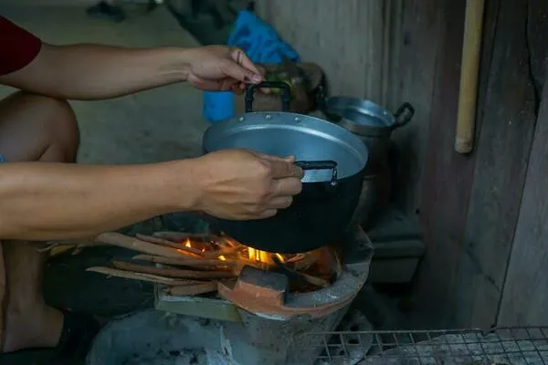 Piauí: 36,6% dos domicílios usam lenha ou carvão para cozinhar