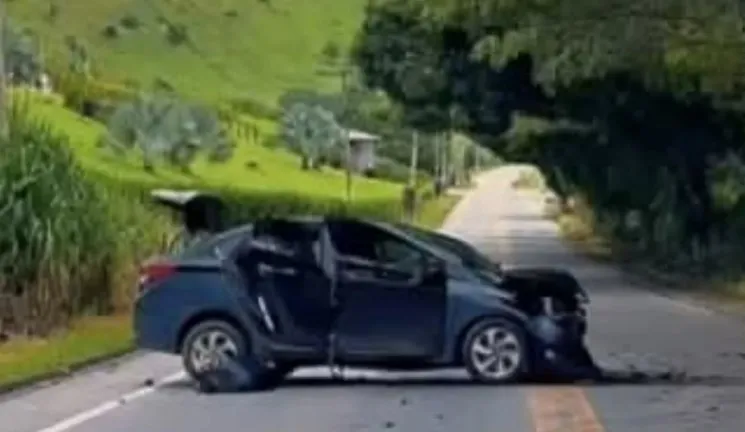 Natal de pânico: Enxame de abelhas invade carro, motorista colide com árvore e ocupantes pulam em rio para fugir da ferroada