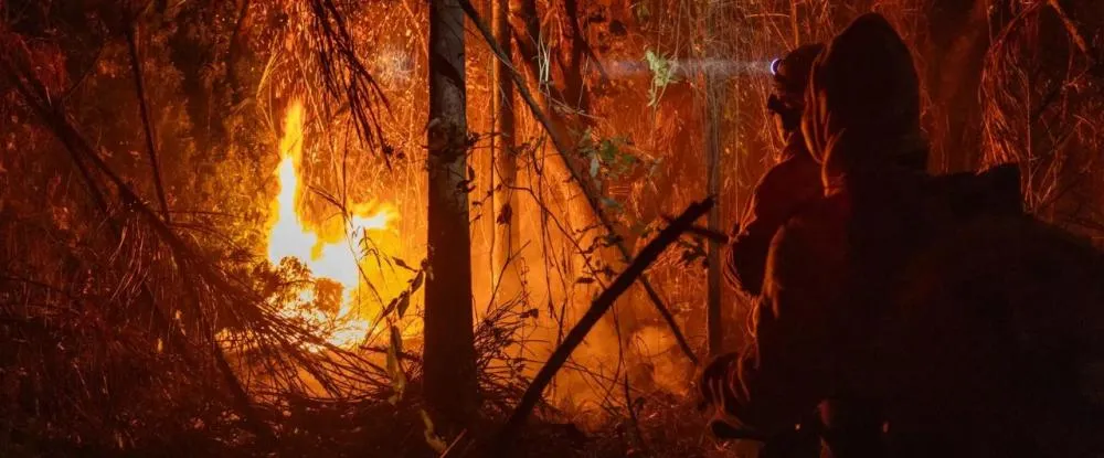 BRASIL EM CHAMAS: Queimadas disparam e expõem falhas na gestão ambiental em 2024