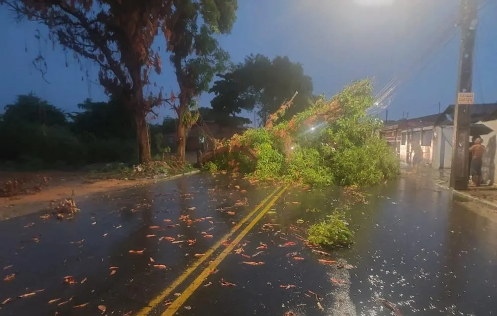 Chuva forte em Teresina expõe fragilidade urbana e deixa rastro de caos e prejuízos