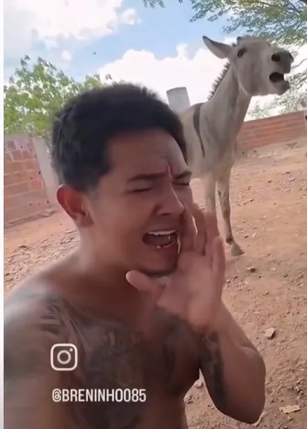 A picanha que virou meme: humor e crítica social no Brasil
