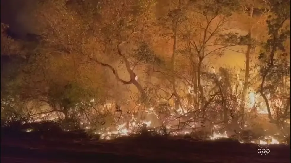 O Coração do Pantanal Queima: Incêndios Devastam 9% do Bioma em 2024