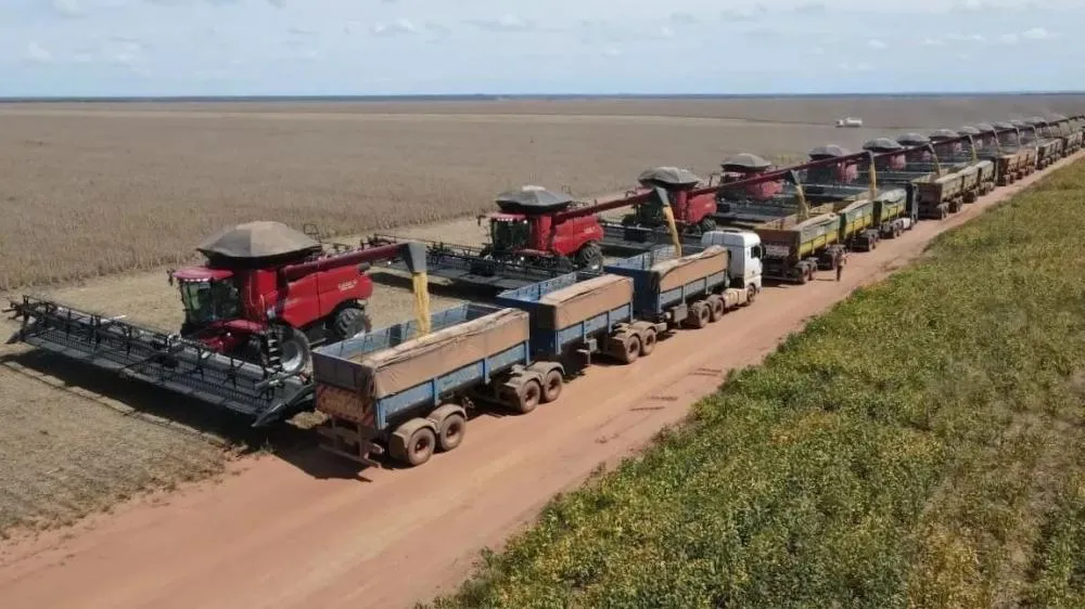 Empresa dos cerrados piauienses brilha no agro nacional, apesar da negligência governamental