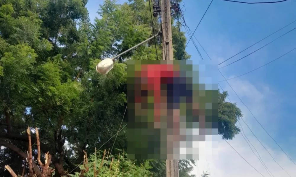 Eletrocussão em Picos: Homem morre ao cortar árvore após temporal devastador