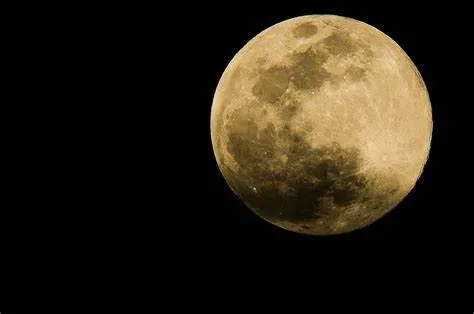 Biorrepositório lunar: Cientistas pretendem enviar animais em extinção para a Lua