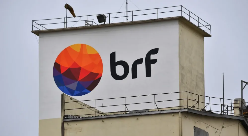 Gripe aviária impacta produtoras de frango e derruba ações de BRF e Marfrig 