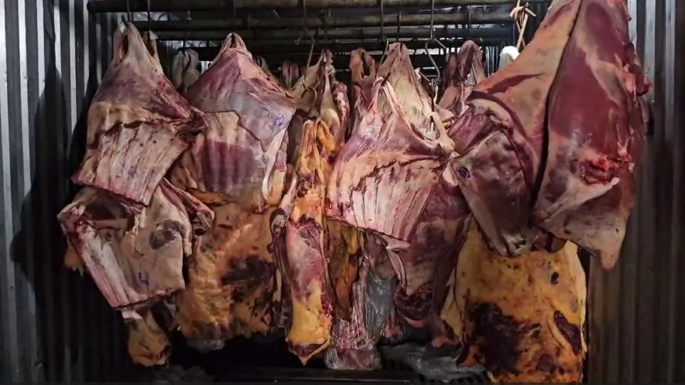 Empresa é alvo de operação por venda de carne contaminada após enchentes no RS