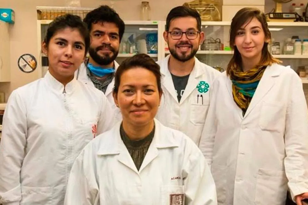 Cientistas mexicanos eliminam HPV com nova terapia fotodinâmica