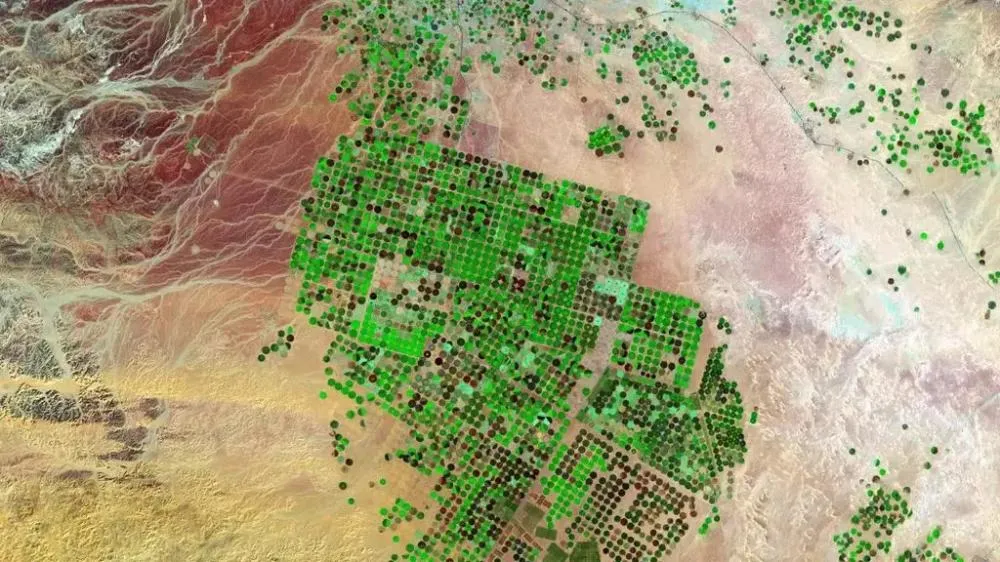 Do deserto à abundância: a revolução agrícola da Arábia Saudita