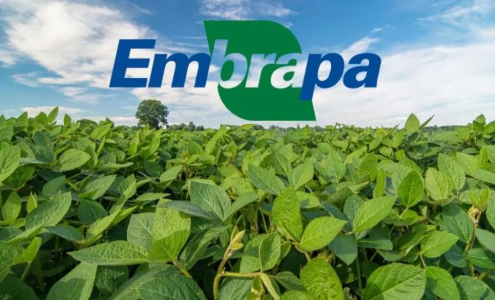 Embrapa lança protetor solar para plantas e reduz perdas na agricultura