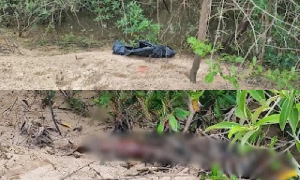 Litoral do Piauí: corpos são encontrados em estado de decomposição