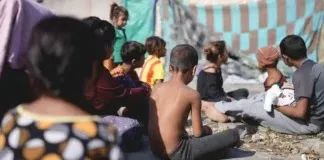 Ceará em alerta: Violência contra crianças e adolescentes atinge números alarmantes