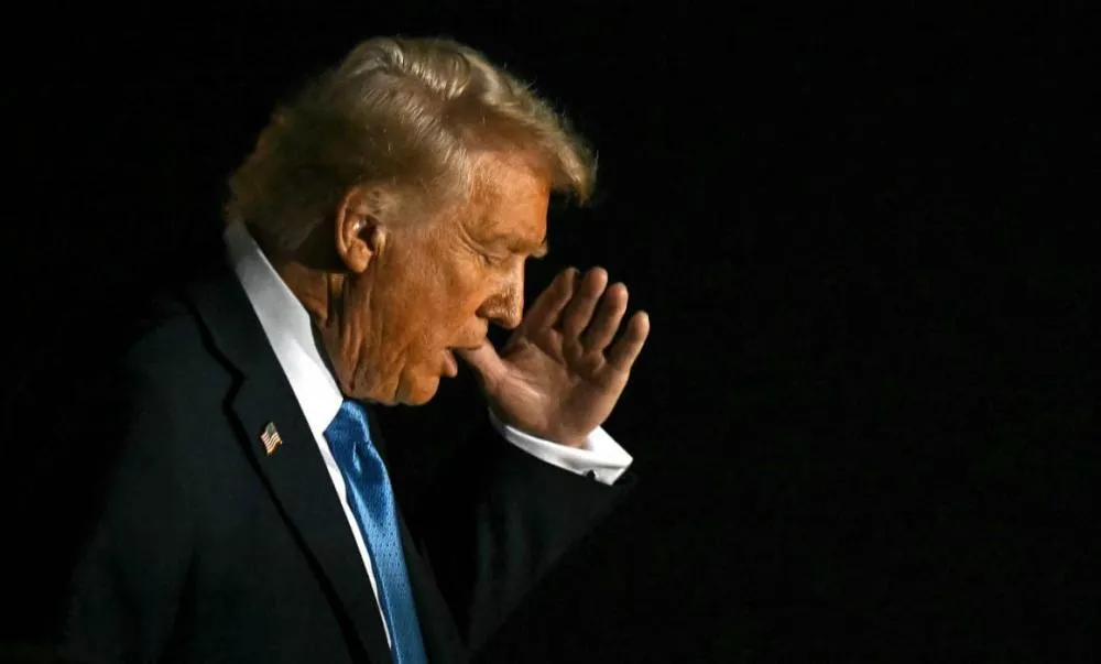 Trump e a nova guerra comercial: impactos da taxação da madeira no Brasil e no mundo
