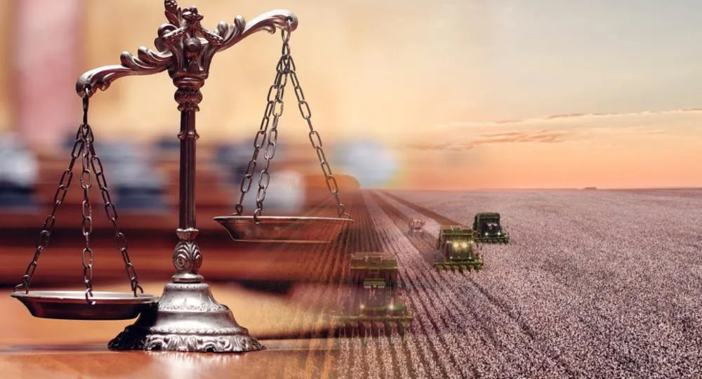 Recuperação judicial no agro dispara em 2024