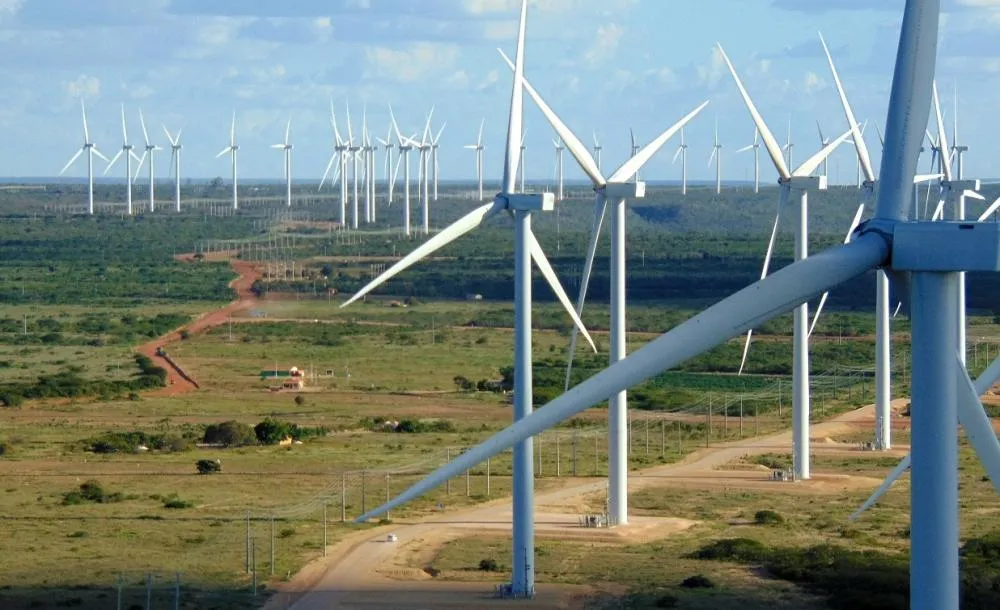 Aneel revoga concessão de usinas eólicas no Piauí e Nordeste, comprometendo expansão da energia renovável