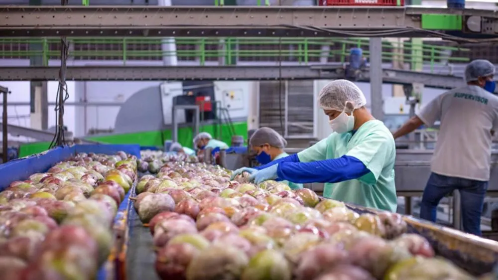 Exportações de frutas registram queda de 7,62% nos primeiros seis meses de 2024, segundo Conab
