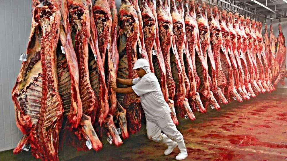 Mesmo com tarifaço de Trump, carne brasileira segue firme nos EUA