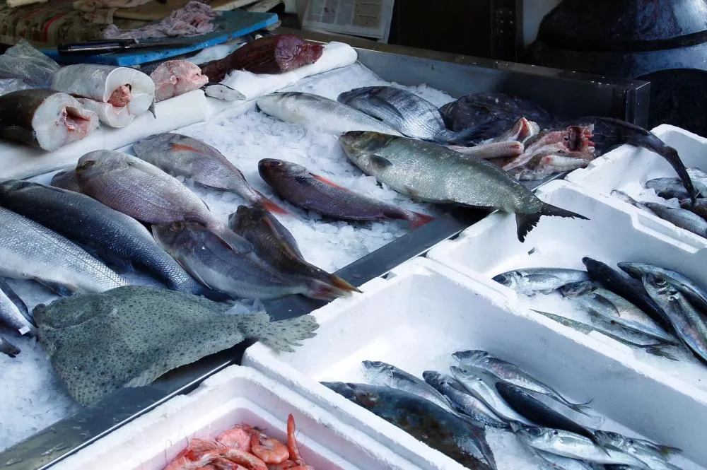 Brasil mira novos mercados na China e avalia impactos de tarifas dos EUA