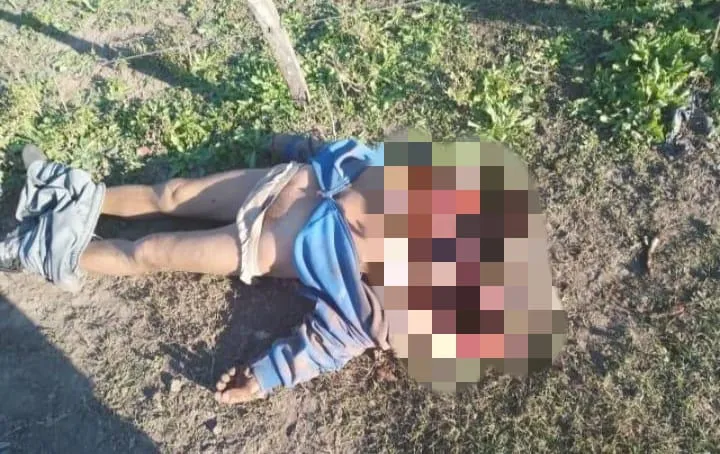 Tragédia no Pantanal: onça-pintada mata e devora caseiro em fazenda de MS; animal não voltará à natureza