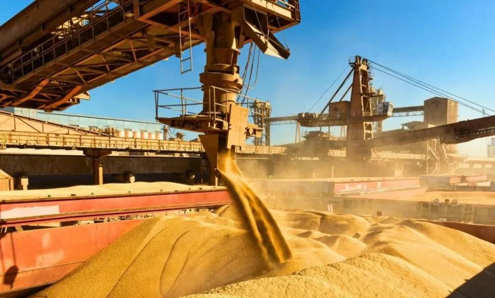 Por que a China está comprando menos soja do Brasil?