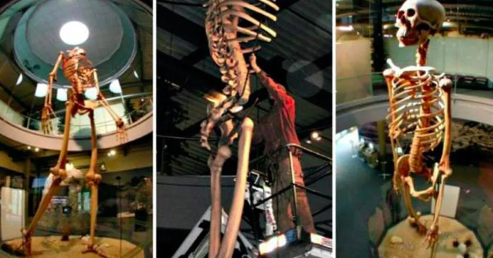 O “gigante” de 7 metros no Equador: Entre o mito e a realidade científica