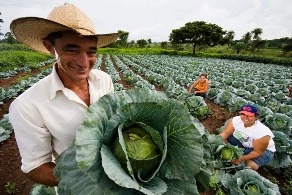 Pesquisa revela que agricultor brasileiro espera aumento de lucro em dois anos